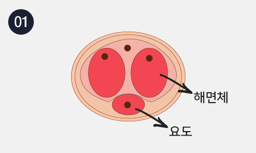 발기부전 주사제 이미지